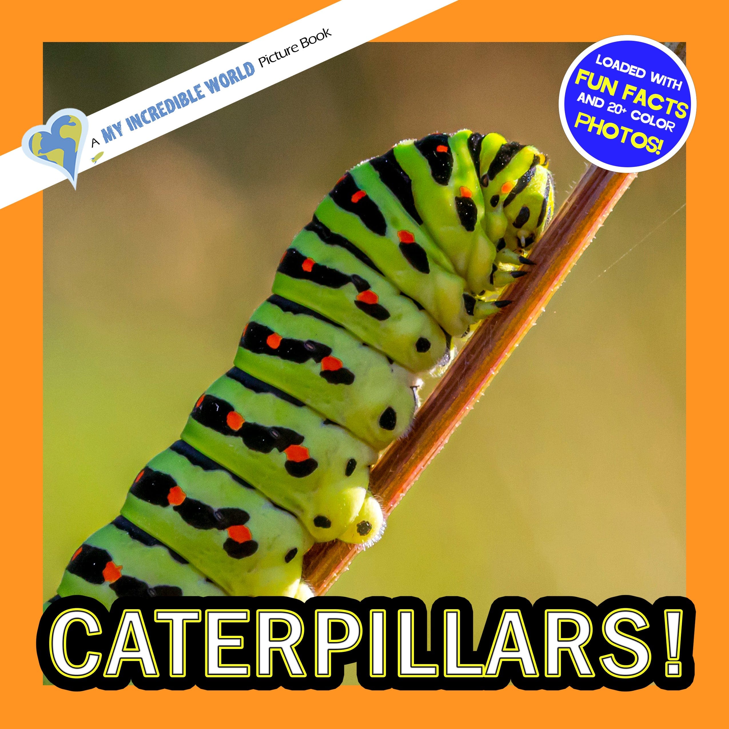 Caterpillars! A My Incredible World Picture Book for Children